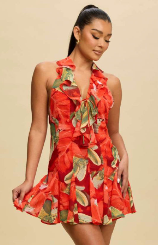 Aurora Ruffle Mini Dress