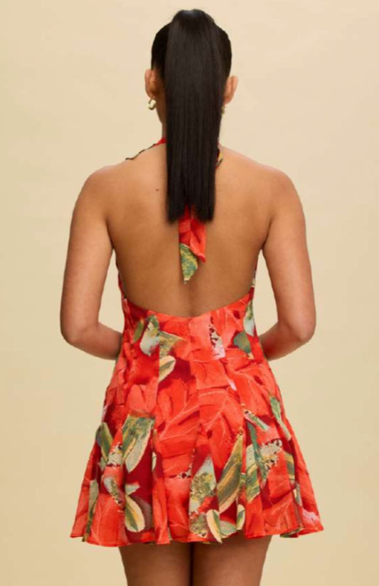 Aurora Ruffle Mini Dress