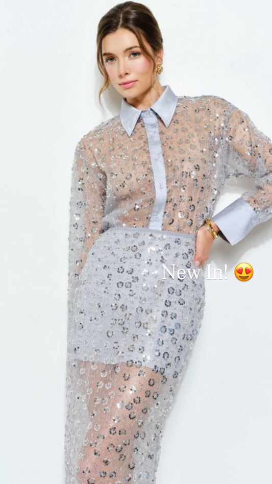 Delicate Sequin Blouse
