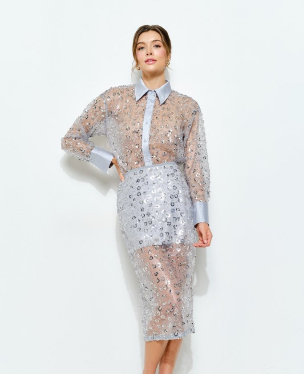 Delicate Sequin Skirt